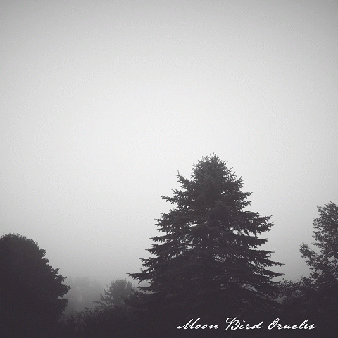 Crown Of Asteria : Moon Bird Oracles